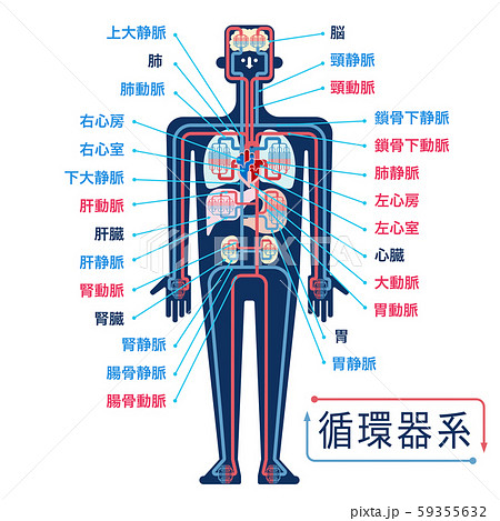 徹底解説 ご先祖様に守られている手相とは？ 手相鑑定 ～質問返し～ - YouTube