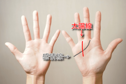 太陽線8種太陽線も色んなところから伸びる手相観ぱなせ