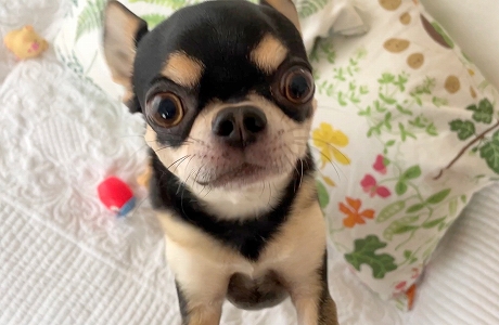 びっくりしすぎて目がバッキバキ」志田未来が〝奇跡〟瞬間を公開ファン「目力が可愛いすぎる」「天才ちゃむね」：「おっ！」でつながる地元密着のスポーツ応援メディア 西スポWEB OTTO