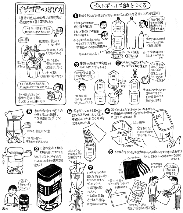 Regenerated vegetablesHow to grow vegetables in plastic bottles and howto make a bottom-water- YouTube