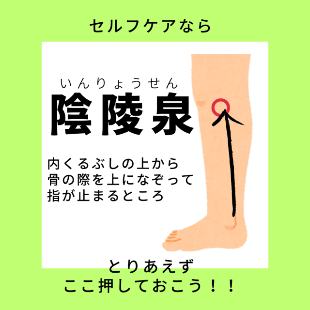 🌞暑さに負けない！癒しの熱中症対策メニュー🌿 この夏もとびきり暑いですね 💦 「体がだるい」「頭が重い」「むくみが取れない」それ、熱×自律神経の乱れが原因かも！？ ＼おすすめメニューはこちら💧足ツボ → 体の熱を逃してスッキリ 🧠ドライヘッド → 頭の重
