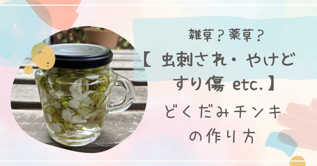 自然由来の虫刺され・かゆみ止め、「ドクダミチンキ」の作り方 - ウェザーニュース
