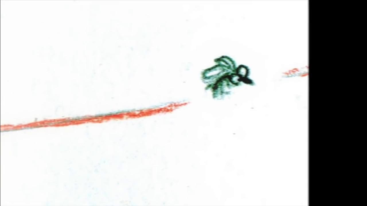 蚊の音が聞こえるのにいない時は幻聴や病気のサイン？原因と対策を徹底解説 -ゴキブリ学園 ときめけ害虫研究部害虫ときめき女子の秘密ノート