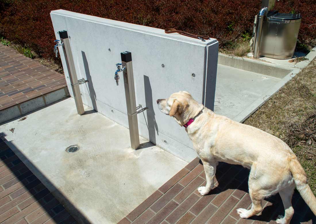 翠華の里愛犬と暮らせる特別養護老人ホーム@suika_no_sato· Shinshiro-shi, Aichi