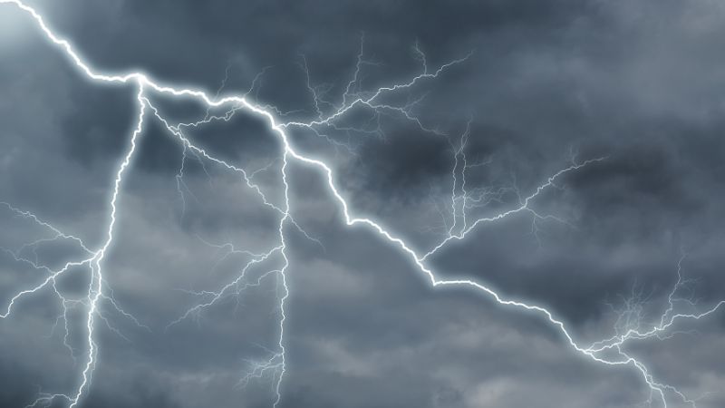 同じ感覚の人いる？ 剥製恐怖、海洋恐怖、地図恐怖、巨像恐怖 ウソみたいだけど本人は本当に怖い対象あれこれロケットニュース24