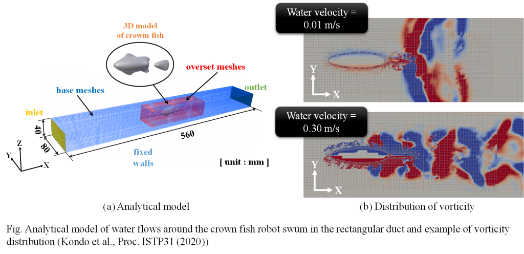 スイマーが泳いでいるとき、水中では何が起きているのか？ – 水の流れを可視化してキック泳の推進メカニズムに迫るacademist Journal