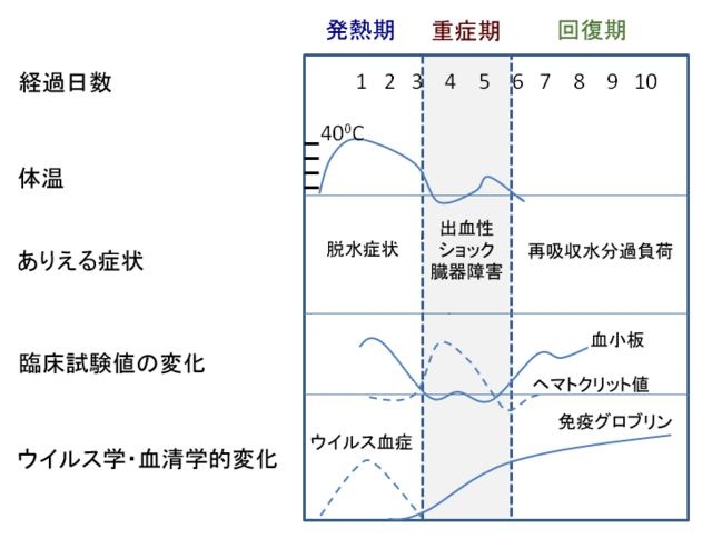 発熱患者で「デング熱」をどう疑う：日経メディカル