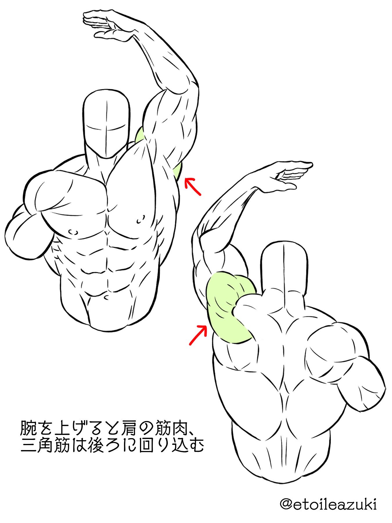 大木のような腕で繊細な演奏 話題の筋肉芸人、意外すぎる特技に反響続々レア楽器演奏動画にファン「本当に天才かも 」「息子が目丸くして楽しんでます」：「おっ！」でつながる地元密着のスポーツ応援メディア 西スポWEBOTTO