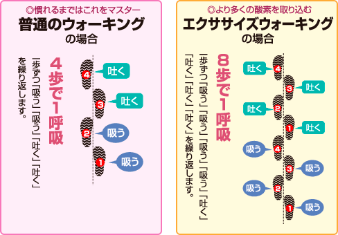 シニアのウォーキングと健康の関係・継続するために必要な情報素適なセカンドライフ ～老人ホーム探しのお役立ち情報～