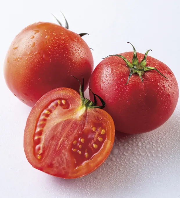 水だけで育てる観葉植物シンゴニウム・コンフェッティ 淡いグリーン色のハート型の葉に、ピンクのペイントを吹きかけたような可愛いシンゴニウムです。とても珍しい種類で数量限定で販売中です。wootangインテリアインテリアコーディネート観葉植物インテリア