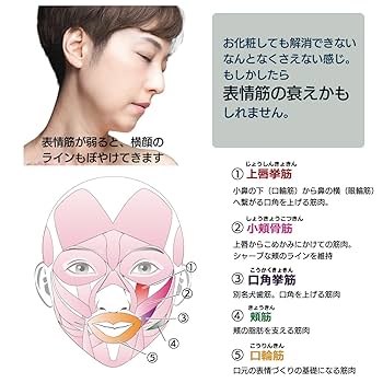 表情筋顔の筋肉種類まとめイラスト図解でわかりやすい筋肉解剖学 - エロ い 顔 イラスト
