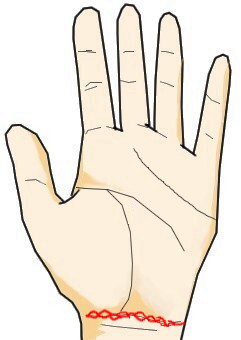 手相でわかるあなたの恋愛タイプを徹底解説！理想の相手と出会うには