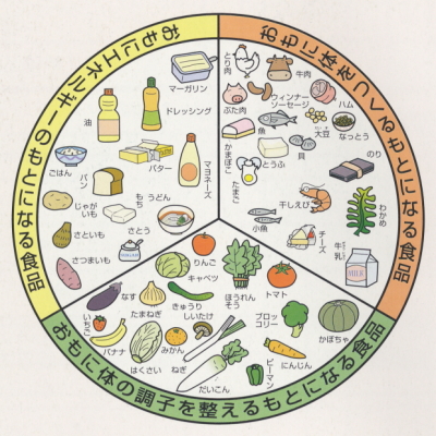 あなたの1日分の食事量をチェック！バランスの良い食事のすすめキューサイ 公式 通販