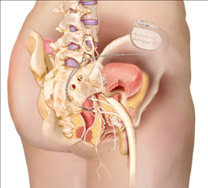 肛門の中が痛い！考えられる疾患を解説します秋葉原・胃と大腸肛門の内視鏡クリニック 千代田区院