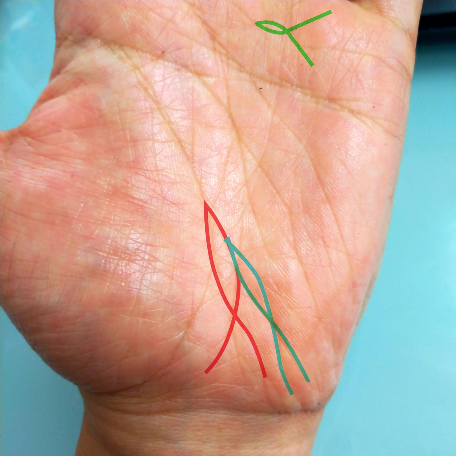 開運線」は大幸運のしるし！「フィッシュ」「スター」は突然舞い込む金運あり!? えみ先生の手相読みkufura クフラ 小学館公式