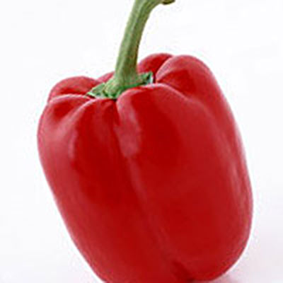 赤ピーマン ＜ ピーマン：旬の野菜百科