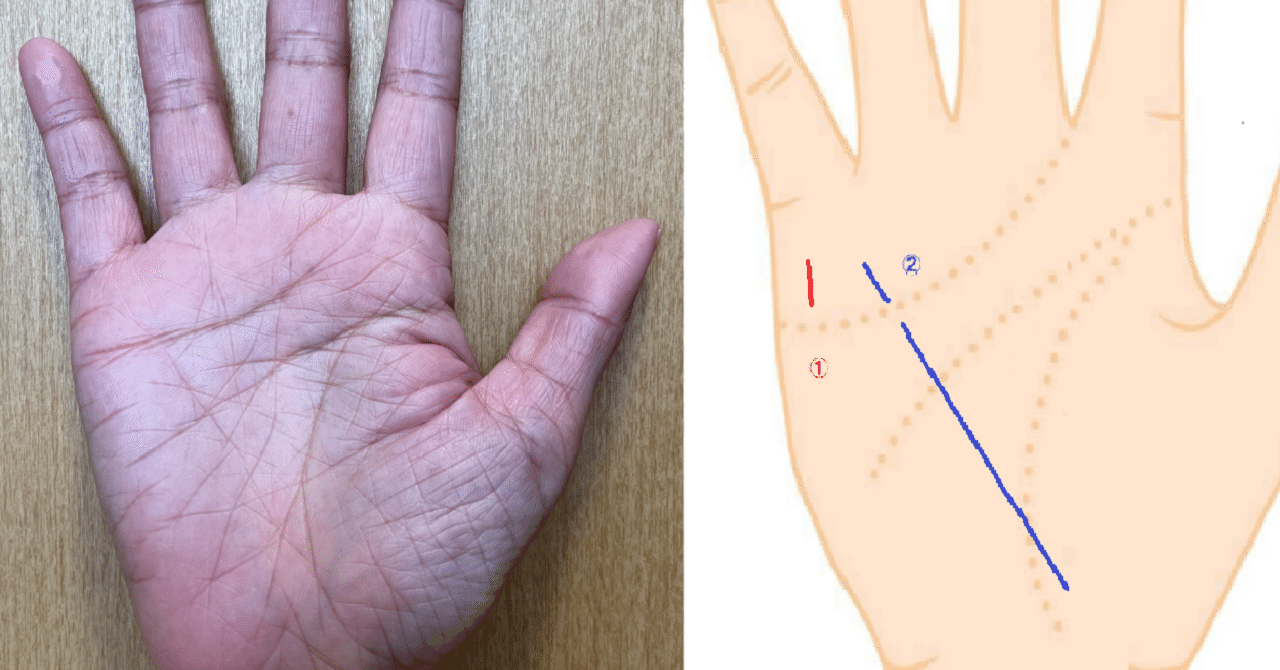 金運が高い財運線の特徴と見つけ方TikTok