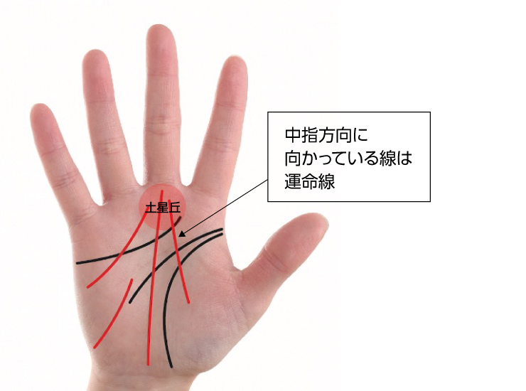 生命線の内側から昇る運命線☆なるほど人相雑学・唇にあるホクロ手相占い 『今日の一線 相 』 - 楽天ブログ