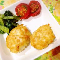 離乳食に☆ささみと豆腐のヘルシーナゲット