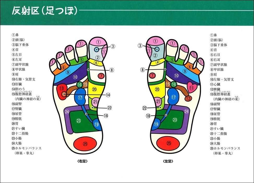 足裏のツボでおなかスッキリ！今すぐできる足裏マッサージBifiXヨーグルトマガジンBifiX ビフィックス ヨーグルト江崎グリコ