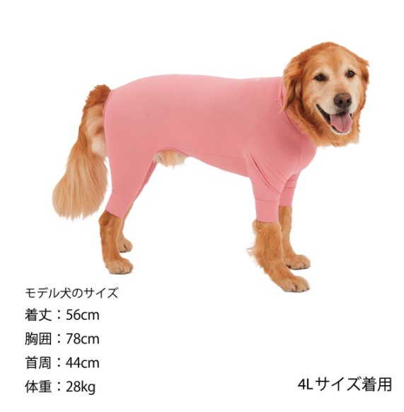 短い爪を縦長の爪に！自宅ケア６選爪専門店NAILCLINIQUE 東京.福岡.名古屋.岡山自爪育成.深爪矯正