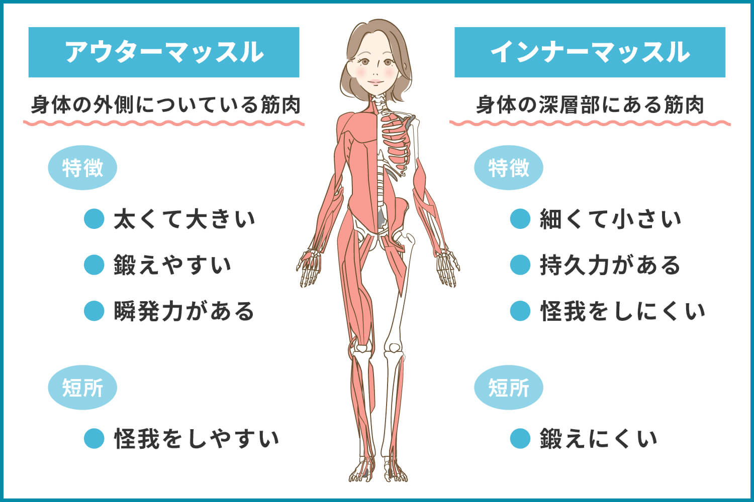 体幹を引き締める インナーマッスルを鍛える 自宅でエクササイズに最適 ヨガ 猫背 二の腕 ピラティスバンド 胸 フレックスバンド 肩甲骨 太ももトレーニングチューブ 腹筋 筋トレ 2m JOINFITダイエット ストレッチ ストレッチバンド シェイプアッ - メルカリ