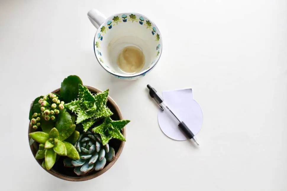 壁紙コーヒーシミの落とし方素材別プロ技 - oyakudachi's diary