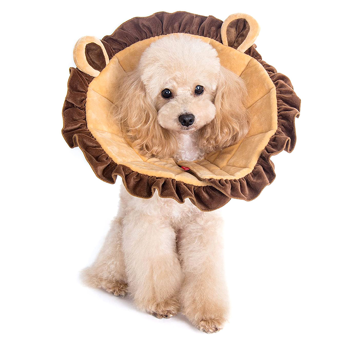 保存版 猫がエリザベスカラーを嫌がる時はコレ！おすすめ商品もご紹介nekozuki ねこずき ネコ豆知識