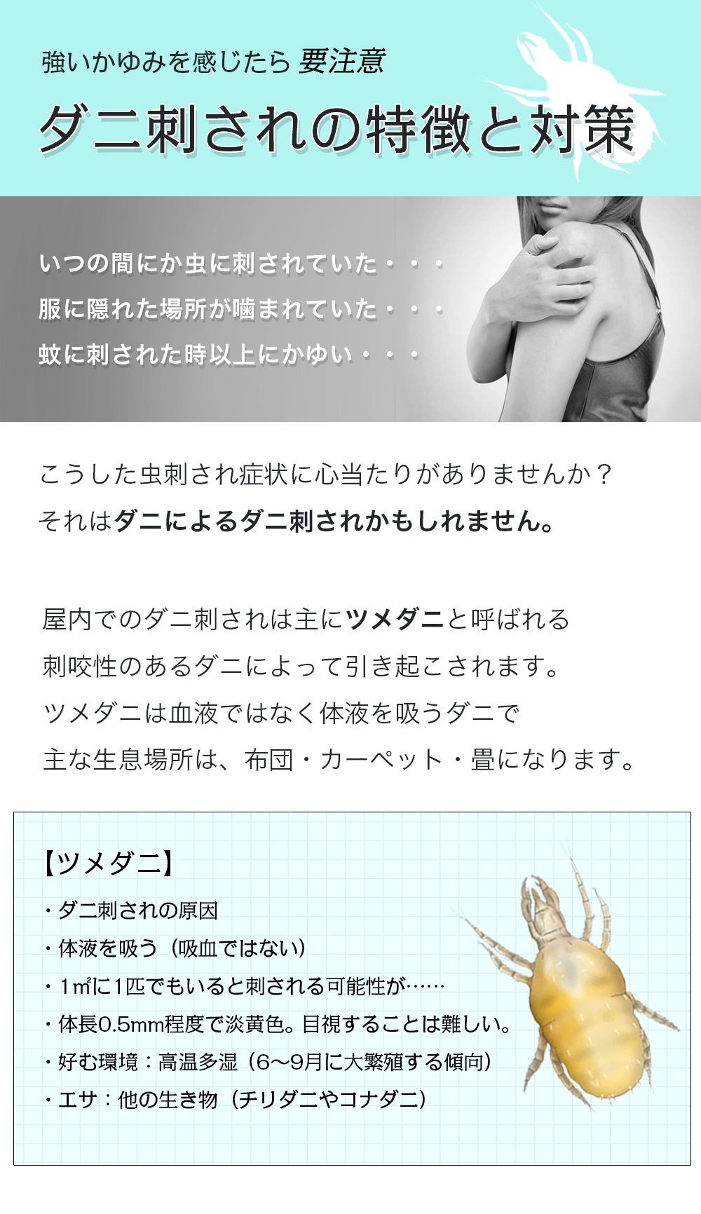 服にダニがつく前に！服にダニがつかないためのダニ対策を紹介します – ダニよけシリカのウッディラボ、読み物