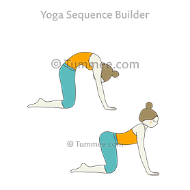 ライオンのポーズヨガ シムハーサナヨガのシーケンス、利点、バリエーション、サンスクリット語の発音Tummee.com