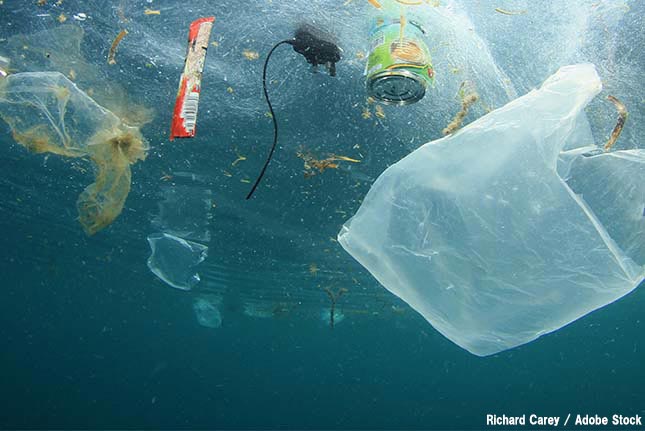 海のごみ問題のイラスト素材72243251- PIXTA