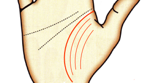 手相占い 恋愛線とは？運命の出会いや結婚時期が分かる！？ -セキララゼクシィ