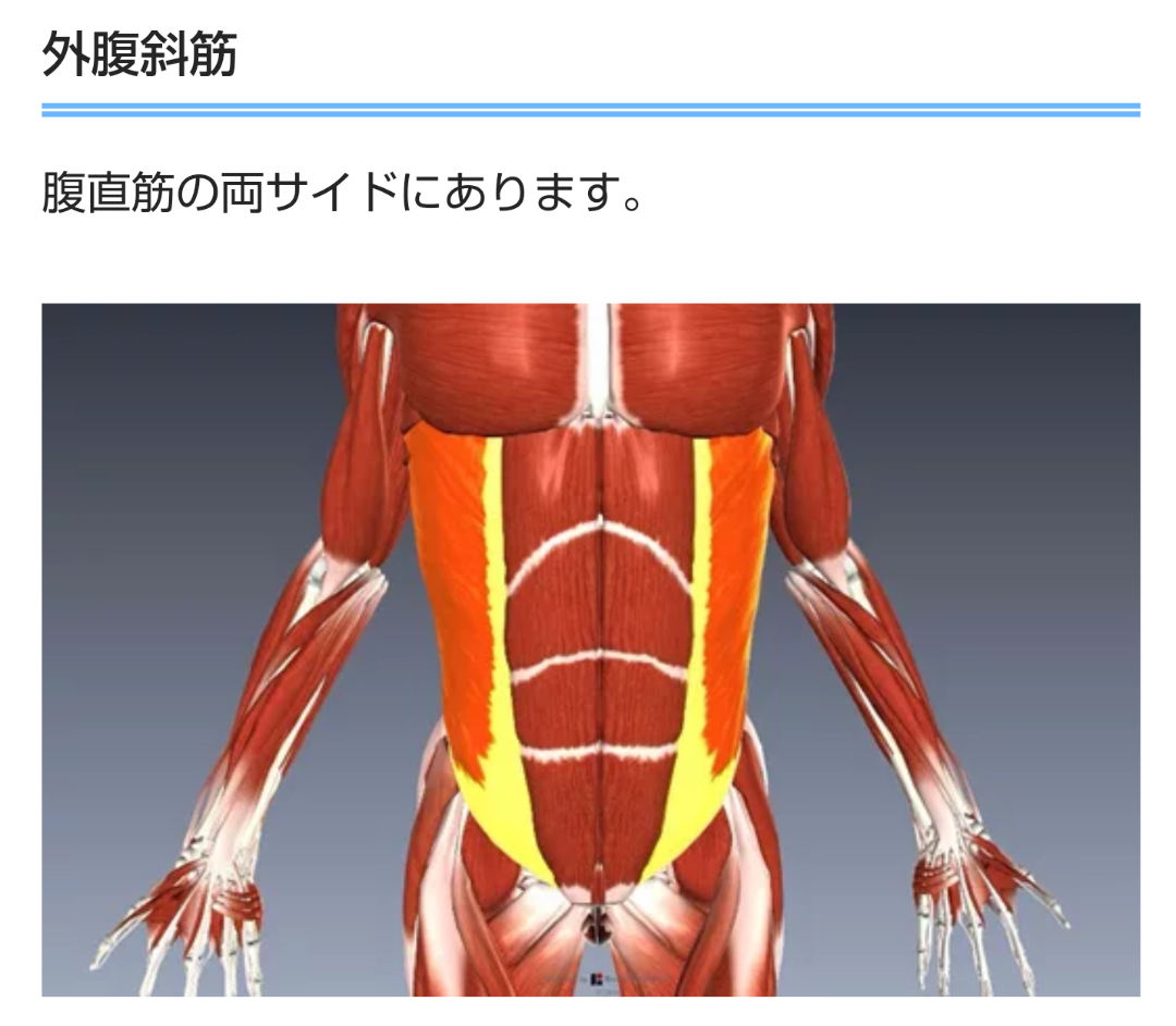 腹筋をすると首が痛くなる人の2つの原因 ～「腹筋が苦手」を卒業するシットアップの正しいやり方～ブログコラム20分フィットネス スマートスタジオ