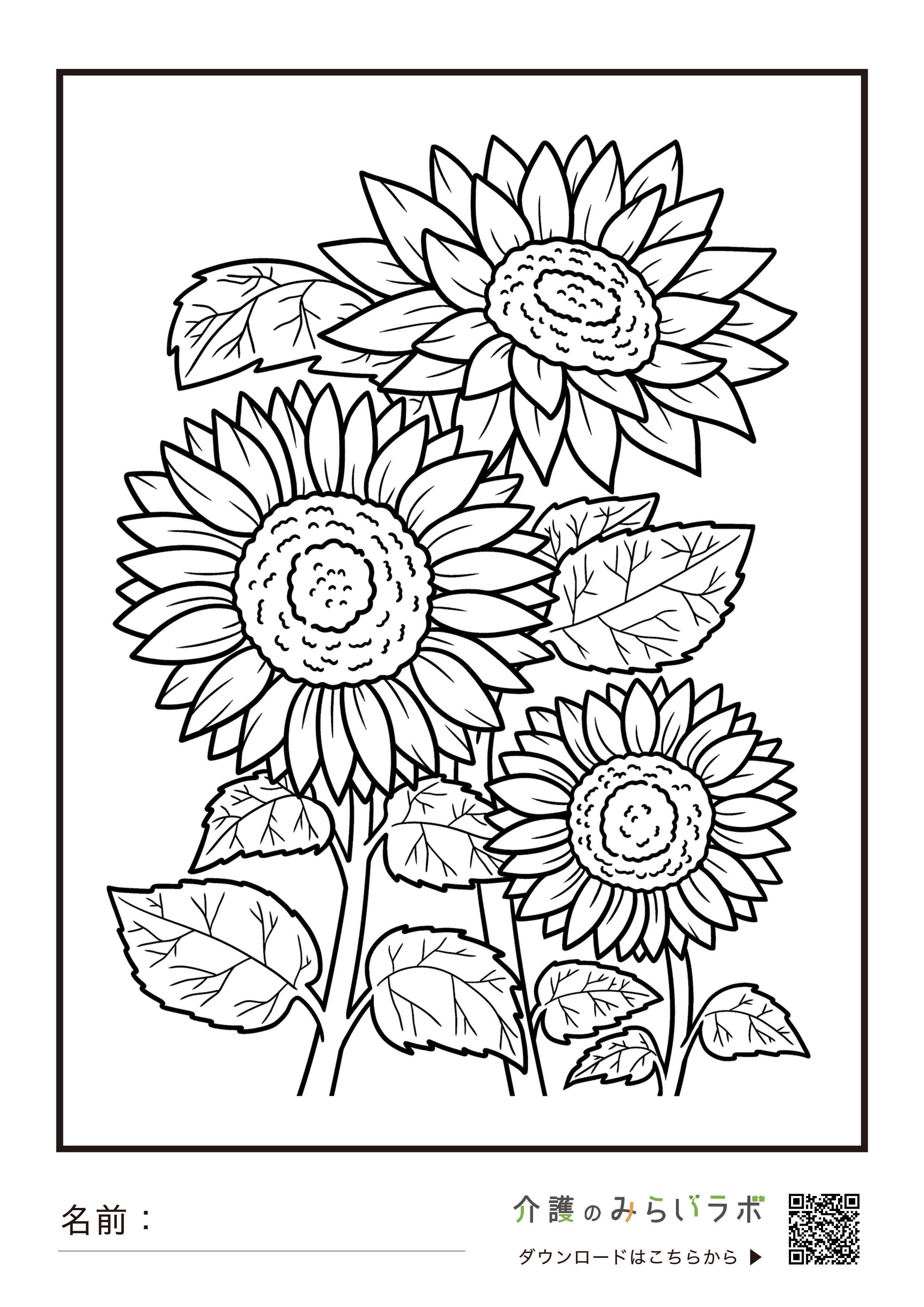 ８月の花 塗り絵高齢者も楽しめる！ひまわり・ユリ・蓮 無料ダウンロード