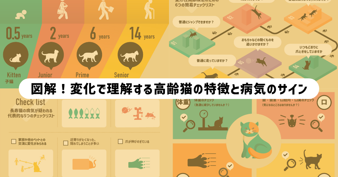 猫の平均的な睡眠時間や寝相、睡眠に関わる病気を獣医師が詳しく解説ぽぽねこの読みもの – ぽぽねこ公式オンラインショップ