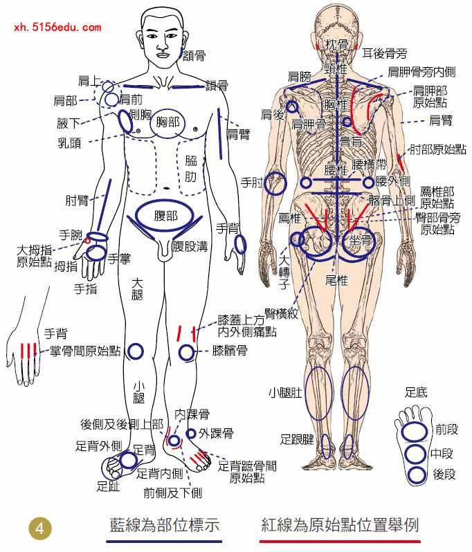 体の部位の名前 介護で役立つ「骨」の専門用語を人体図で紹介介護健康福祉のお役立ち通信