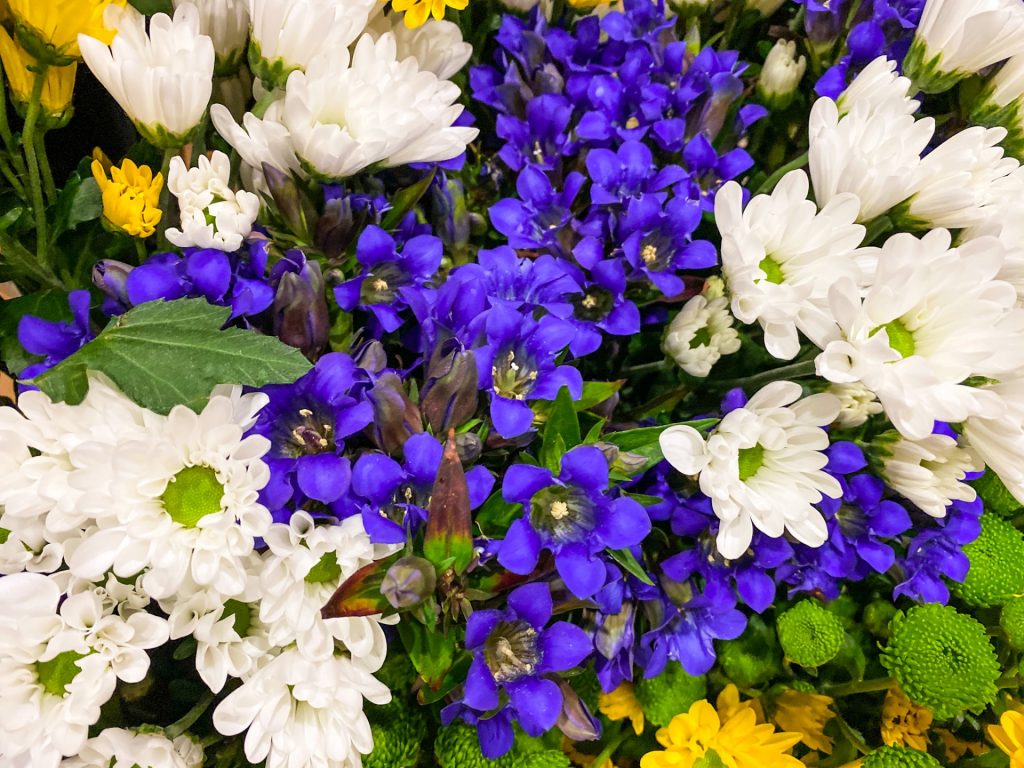 怖い花言葉をもつ花の一覧！死・復讐・狂気など不吉な意味がある花のまとめ