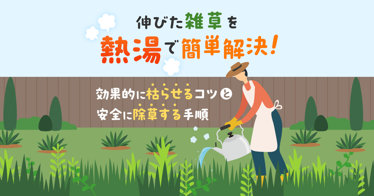 しつこい雑草 熱湯で解決できる!?東京・千葉の防水塗装工事の株式会社翔和