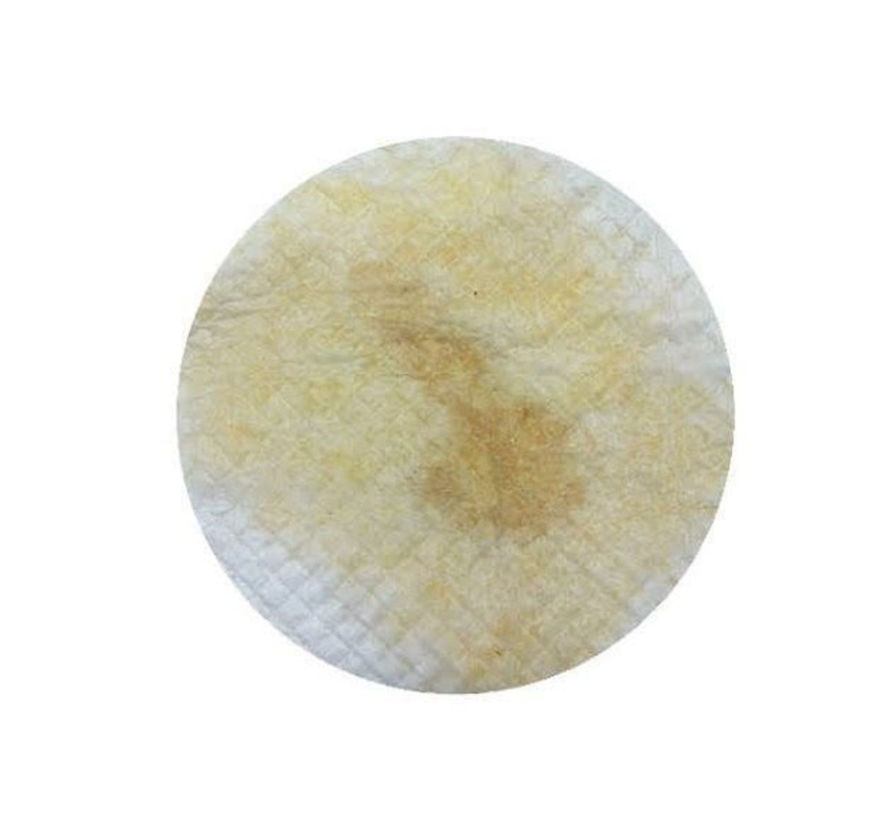 閲覧注意 オシッコの色とフード: たたかう こいぬ