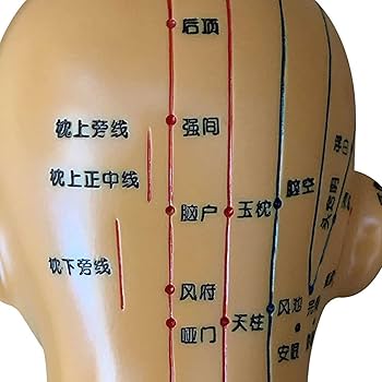 頭を悩ませる2種類の頭痛。それぞれの特徴と対処法について。 » はりきゅうマッサージサロン笑和