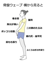 公式 体成分分析装置InBodyインボディ