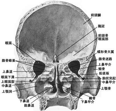 水頭症 慶應義塾大学病院脳神経外科教室