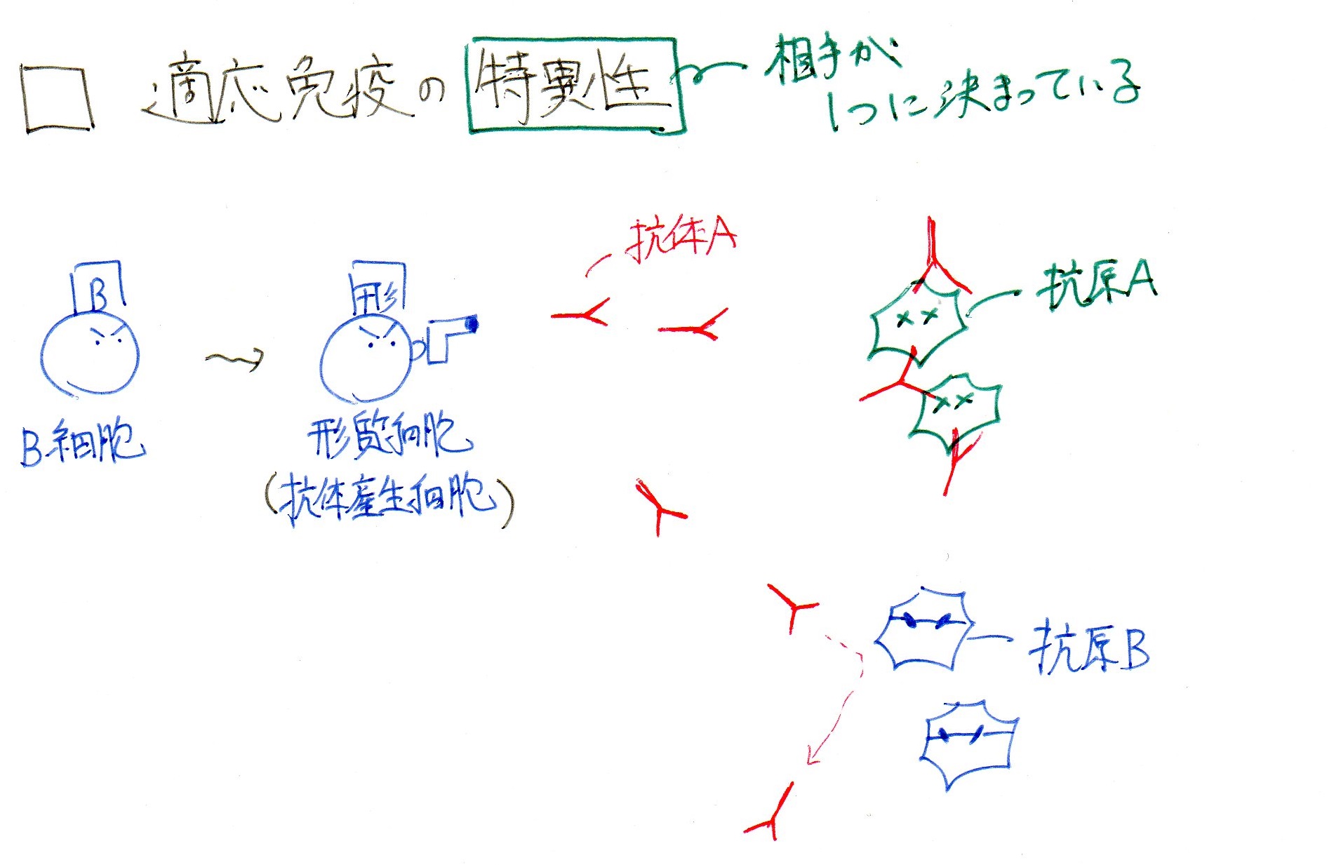 IgG看護師の用語辞典看護roo! カンゴルー