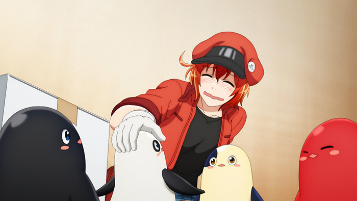 働く細胞」のアイデア 13 件はたらく細胞, 細胞, がん細胞