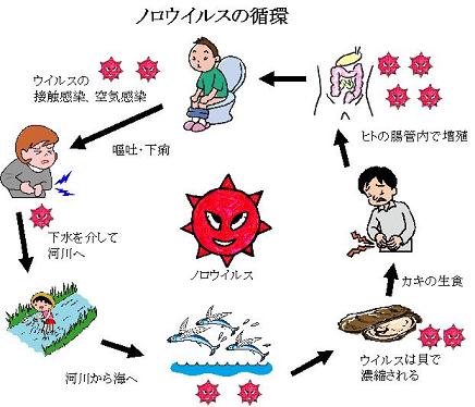 こんにちは！@enkuru_officialです☆ 今回は、「感染性胃腸炎NG行動5選」についてお伝えします！ ✨目次✨ 1.ノロ・ロタウイルスの違い2.①アルコールで消毒をする 3.②嘔吐・下痢の度に都度対応する 4.③嘔吐物がついた衣類もまとめて洗濯する 5.④嘔吐後すぐに水分補給