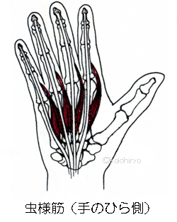 筋肉のこと知ってますか？」検定