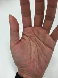 占い師監修 手相の「頭脳線」とは？種類別の見方や意味を徹底解説