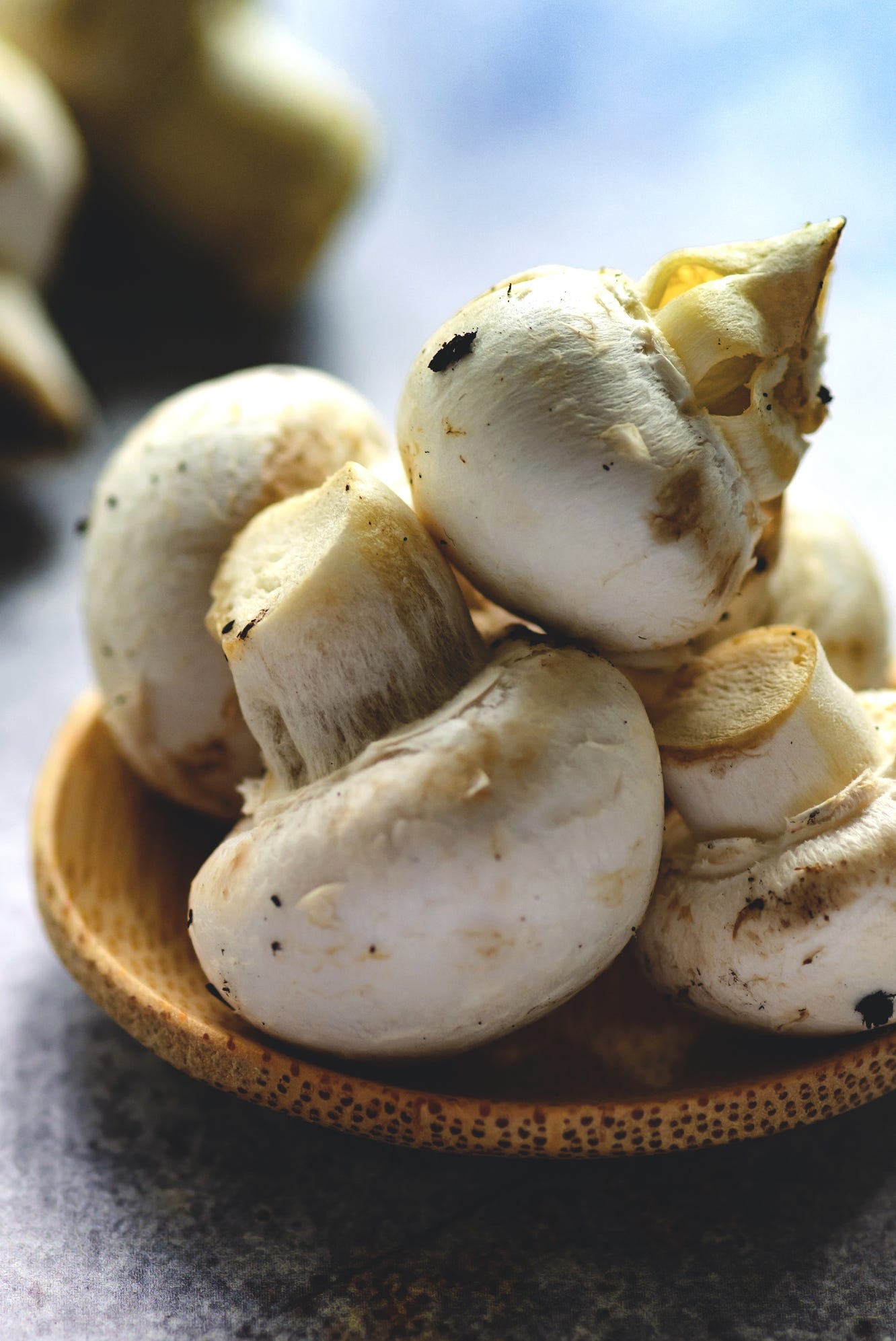 家族のことマッシュルームの菌糸と、白カビの見分け方を誰かコイツに教えたって。あさころ