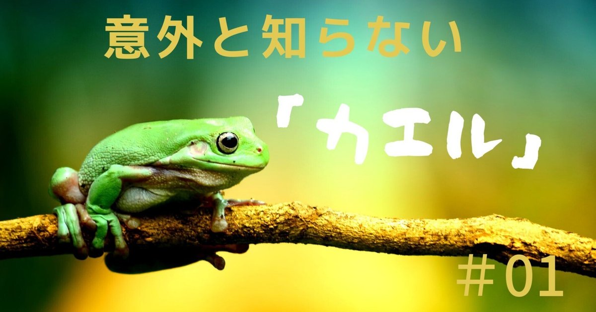 幻覚を起こす動物