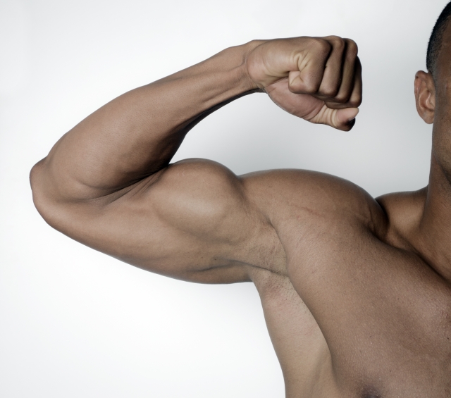 腕橈骨筋の効果的な鍛え方。前腕を太くする最強の筋トレメニューとはSmartlogボディメイク